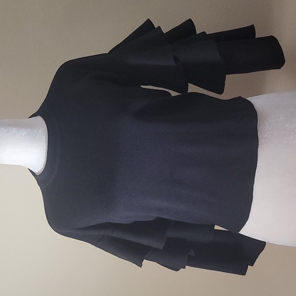 Zara Sweater Ruffle Sleeve